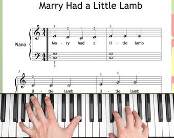 Mary Had a Little Lamb – Easy Piano Sheet Music Grade 1 PDF + Color Notes + Letter Notes + MP3