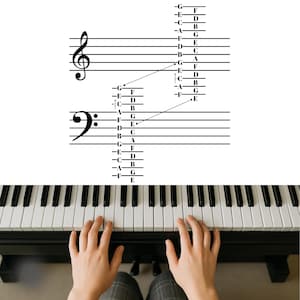 Piano Notes Chart for Beginners - Treble Clef and Bass Clef Reference Sheet (Letters and Notes) - Printable PDF Music Guide