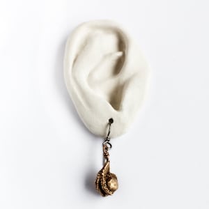 Titaniun earrings bird claws