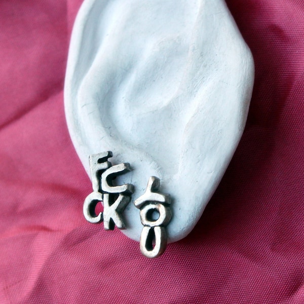 Fuck you titanium earrings. Mature, foul language, rude jewelry
