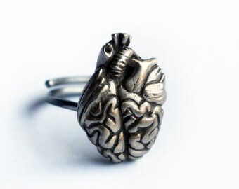 May include: A silver ring with a detailed anatomical heart design.