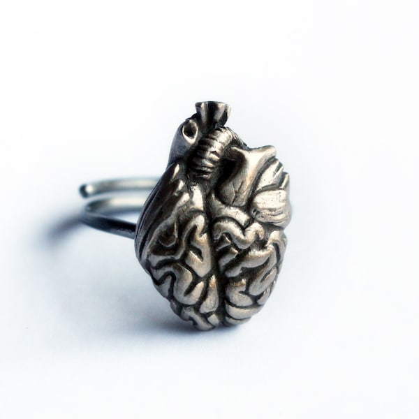 The smart anatomical heart ring, surreal brain heart