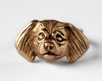 Tibetan spaniel dog ring, pomeranian, pekingese