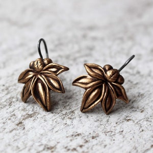 Fantasy flower pod earrings, bronze and titanium earrings