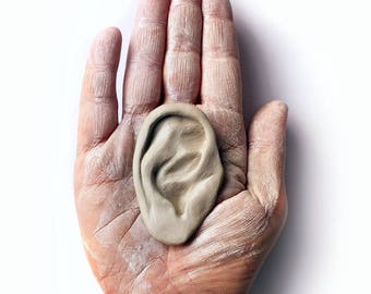 Human ear earring display photo prop