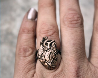 May include: A bronze anatomical heart ring with intricate details. The ring is worn on a finger and features a realistic depiction of a human heart.