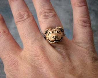 Staffordshire bullterrier dog ring