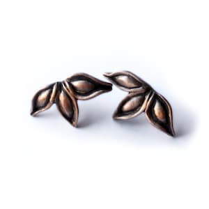 Star anise pod earrings, bronze and titanium earrings