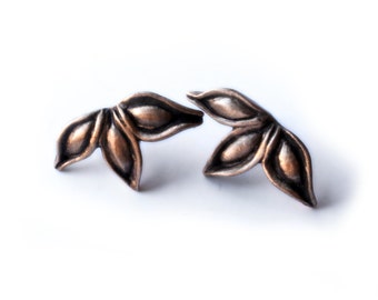 Star anise pod earrings, bronze and titanium earrings