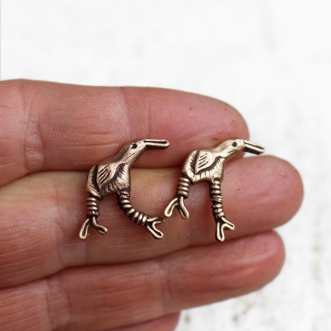 Kiwi Bird Earrings Studs Bronze and Titanium Earrings Etsy