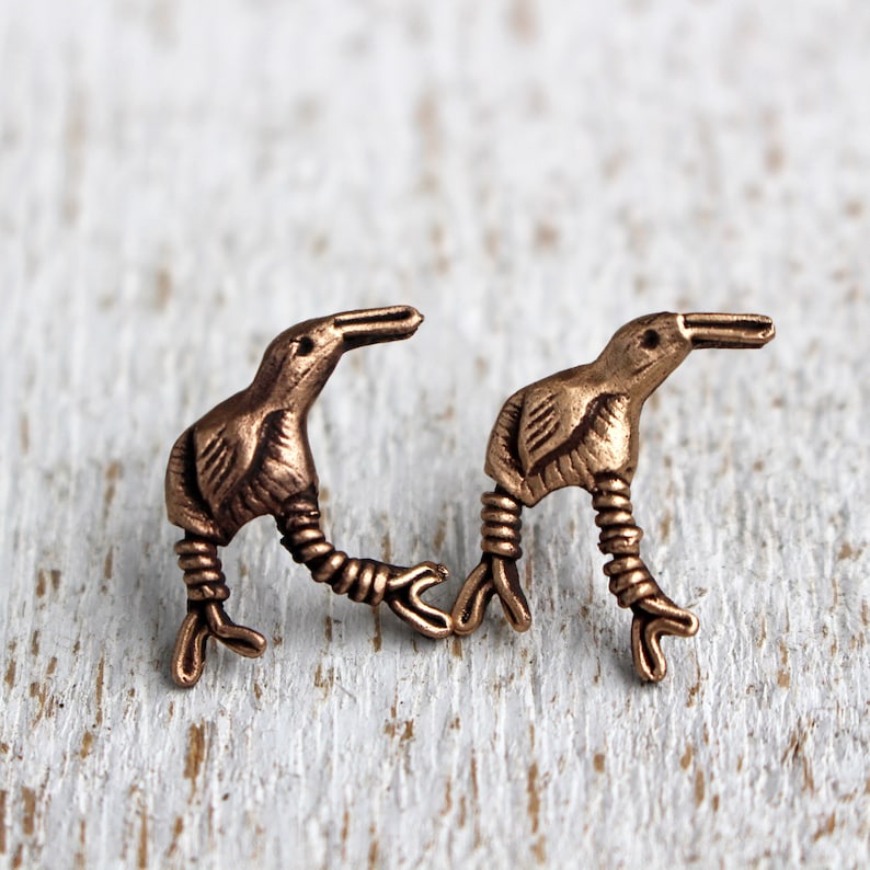 Kiwi Bird Earrings Studs Bronze and Titanium Earrings Etsy