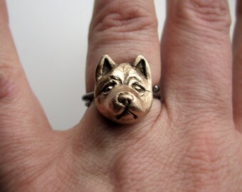 American akita shiba ring