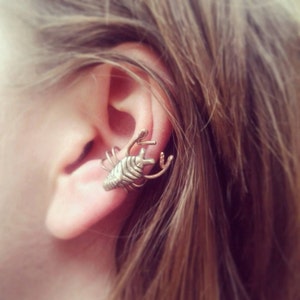 May include: A silver lobster ear cuff earring. The lobster is detailed and has a textured finish. The ear cuff is made of metal and has a simple design.