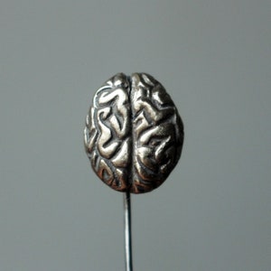 Può includere: Una scultura di cervello color argento su un sottile stelo di metallo. Il cervello è dettagliato con creste e solchi.
