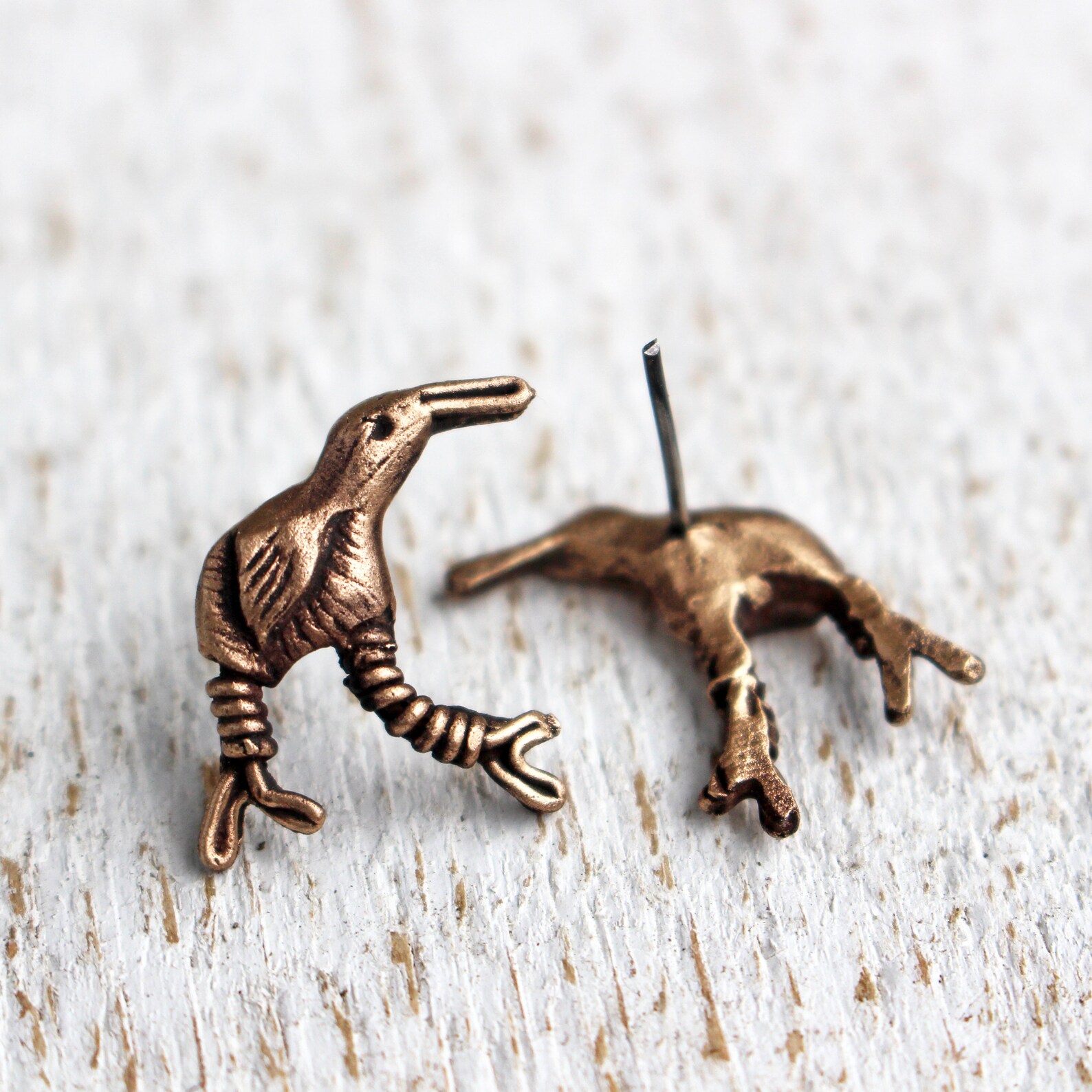 Kiwi Bird Earrings Studs Bronze and Titanium Earrings Etsy