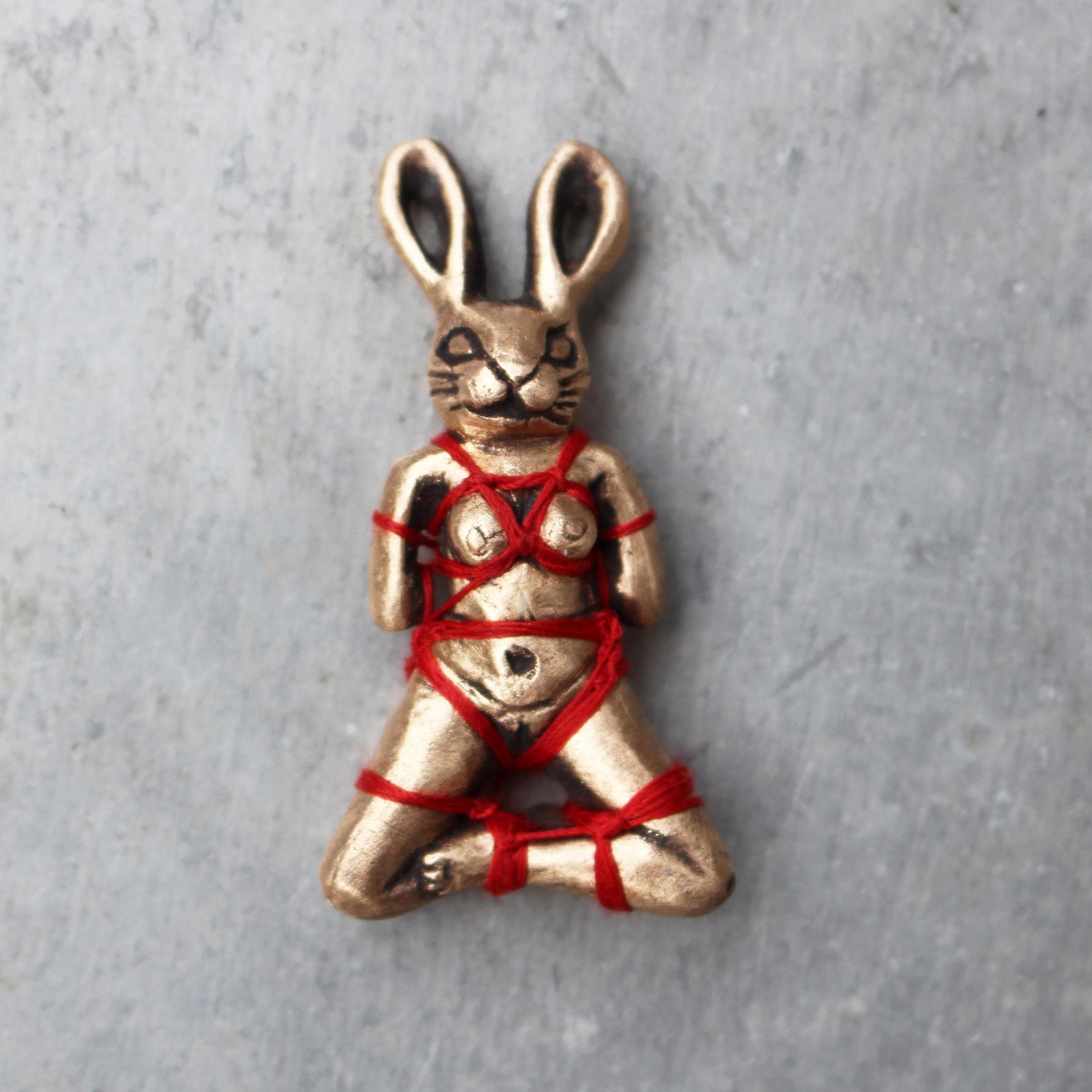 Футболка с шибари принт. Жилет для крысы с поводком. Rope bunny. Сенники и кормушки для кроликов. Шибари хомяка.