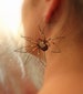 Large spider earring titanium dangle 