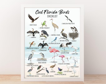 Florida Bird Checkliste Aquarell - 25 Arten mit Namen, Lebensräumen & Seltenheit - printable 8.5×11 PDF