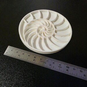 Puede incluir: Un modelo de concha de nautilus blanca, impreso en 3D, con un dise&ntilde;o en espiral. El modelo tiene aproximadamente 12,7 cm de di&aacute;metro. Una regla met&aacute;lica se coloca junto al modelo para la escala. La regla tiene el texto "Tech Tools".