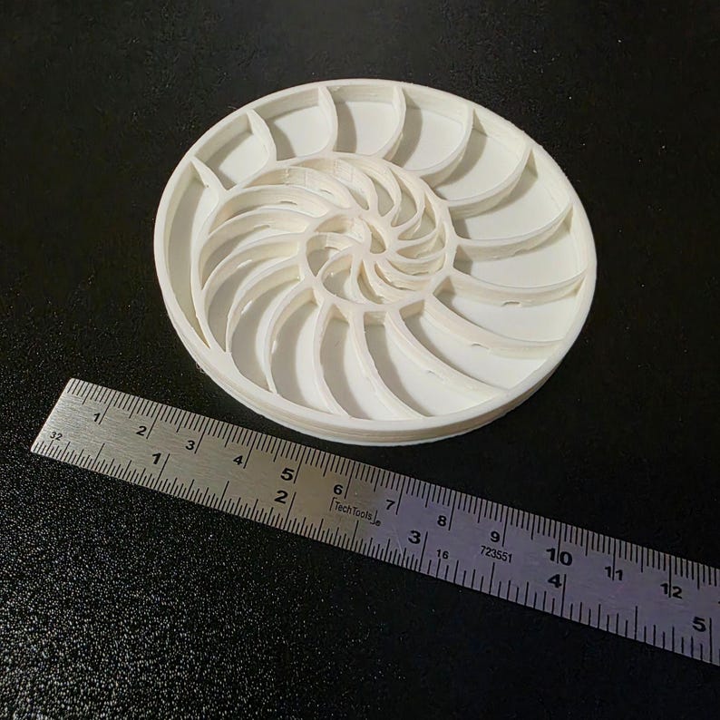 Puede incluir: Un modelo de concha de nautilus blanca, impreso en 3D, con un dise&ntilde;o en espiral. El modelo tiene aproximadamente 12,7 cm de di&aacute;metro. Una regla met&aacute;lica se coloca junto al modelo para la escala. La regla tiene el texto "Tech Tools".