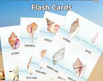 Florida Sea Green (FL) Beschuss Bildkarten (PDF Download)