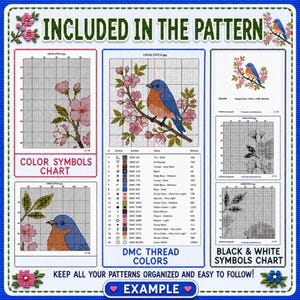 May include: A cross stitch pattern guide featuring a bluebird on a cherry blossom branch. Includes a color symbols chart, a black and white symbols chart, and a DMC thread color list with 20 entries. The design size is 130 by 130 stitches.