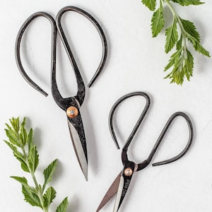 Black Metal Vintage Style Scissors | Gardening Shears