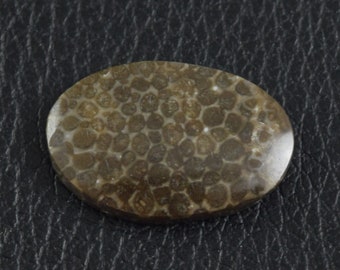 Oval Fossil Coral Cabochon from Lake Michigan