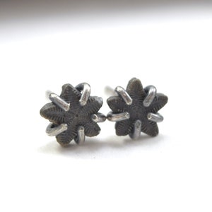 Star Crinoid Fossil Stud Earrings in Sterling Silver