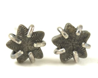 Star Crinoid Fossil Stud Earrings in Sterling Silver