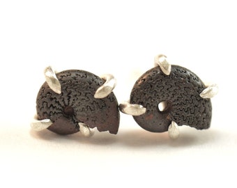 Hematite Ammonite Stud Earrings in Sterling Silver - Real Hematite Replaced Fossils