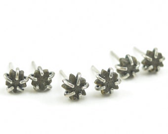 Extra Small Edition - Star Crinoid Fossil Stud Earrings in Sterling Silver