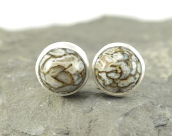 Dinosaur Bone Stud Earrings in Sterling Silver  - High Dome Rounds - III