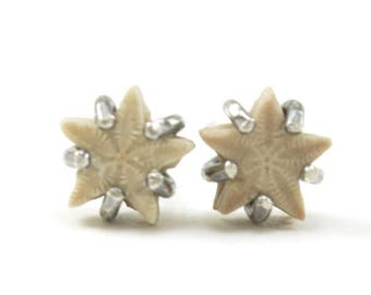 Light Toned Star Crinoid Fossil Stud Earrings in Sterling Silver