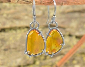 Baltic Amber Earrings with Natural Insect Inclusions - Genuine Insect Amber - Drops