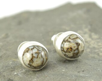 Dinosaur Bone Stud Earrings in Sterling Silver  - High Dome Rounds - I