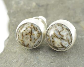 Dinosaur Bone Stud Earrings in Sterling Silver  - High Dome Rounds - II