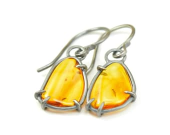 Baltic Amber Earrings with Natural Insect Inclusions - Genuine Insect Amber - Drops