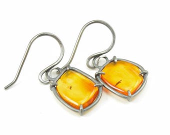 Baltic Amber Earrings with Natural Insect Inclusions - Genuine Insect Amber - Rectangle