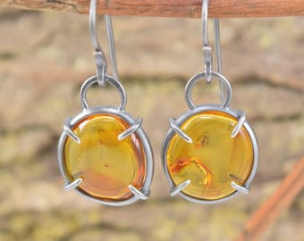 Baltic Amber Earrings with Natural Insect Inclusions - Genuine Insect Amber - Round