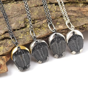 Trilobite Necklaces in Sterling Silver and Gold Keum Boo
