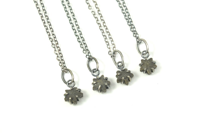 Crinoid Star Fossil Necklaces in Sterling Silver image 2