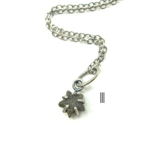 Crinoid Star Fossil Necklaces in Sterling Silver image 6