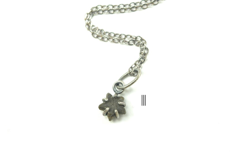 Crinoid Star Fossil Necklaces in Sterling Silver image 6