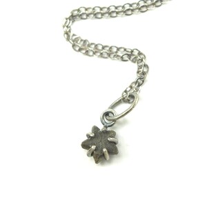 Crinoid Star Fossil Necklaces in Sterling Silver image 9