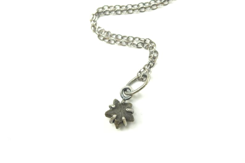 Crinoid Star Fossil Necklaces in Sterling Silver image 9