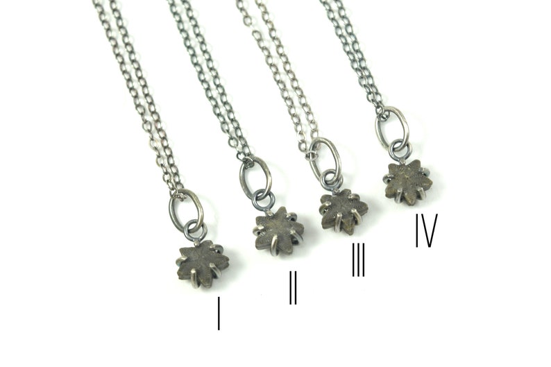 Crinoid Star Fossil Necklaces in Sterling Silver image 3