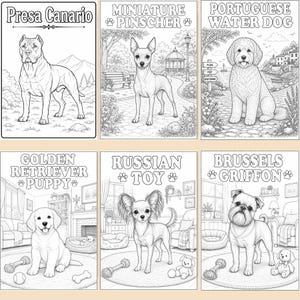 Preview of 6 coloring pages from the Dog Coloring Book Printable, featuring beautiful dog breed illustrations with each dog's name clearly displayed. Includes detailed and easy-to-color designs perfect for kids, teens, and adults who love dogs. Discover a variety of adorable dog breeds and enjoy hours of creative coloring fun. **Get your instant download today and color all 50 dog breeds! 🐾🎨📖