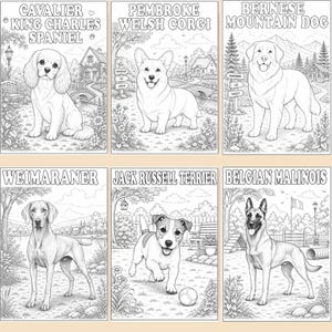 Six sample pages from a Dog Coloring Book Printable featuring adorable dog breed illustrations and their names. Each page showcases a unique dog design created for coloring and learning about different breeds. Perfect for dog lovers, classrooms, homeschool activities, and relaxing creative time. Download your copy now and enjoy coloring 50 different dog breeds from the comfort of home!🐶✨🎨