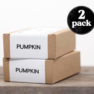 Pumpkin Soap Dry Skin Soap, All Natural Soap, Homemade Soap, Cold Process Soap, Vegan Soap, Unscented Soap 2-Pack